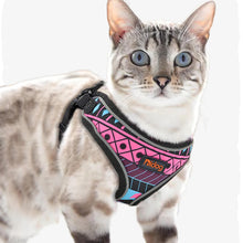 Load image into Gallery viewer, A gray Cat wearing colored Reflective Dog Harness For Dogs and Cats