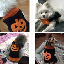 Load image into Gallery viewer, A picture of a chihuahua wearing Black orange with orange pumpkins printing Christmas pet outfit dog sweater