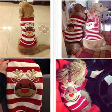 Load image into Gallery viewer, A picture of golden retriever dogs wearing multi styles Christmas pet outfit sweaters