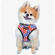 Load image into Gallery viewer, A white Chihuahua wearing Reflective Dog Harness For Dogs and Cats