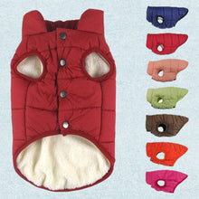 Load image into Gallery viewer, Collection of Winter coats for dogs variety of colors