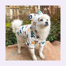 Load image into Gallery viewer, Dog standing and wearing Waterproof Dog Raincoat White color Bear printing