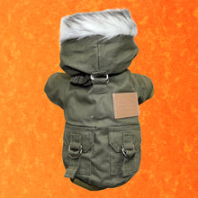 Load image into Gallery viewer, Lightweight Hoodie Winter Jacket For Dogs and Cats Green Color