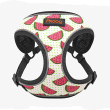 Load image into Gallery viewer, Reflective Dog Harness For Dogs and Cats Watermelon printing on it