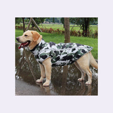Load image into Gallery viewer, Standing Golden Retriever Wearing Black White Waterproof Coat Reflective Plaid Design