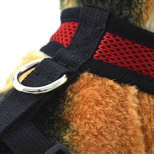 Load image into Gallery viewer, The metal ring of red training harness for dogs and cats