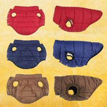 Load image into Gallery viewer, Three of Winter coats for dogs Different Angles View Red Blue Color