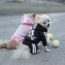 Load image into Gallery viewer, Two Chihuahua wearing Hoodies for my babies Black and Pink colors one of them looking at the camera