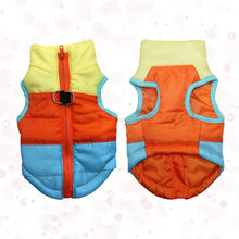 Load image into Gallery viewer, Warm Coat Jacket Windproof Vest Blue color Front and Back View