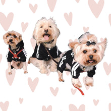 Load image into Gallery viewer, Yorkies dogs wearing Hoodies for my babies