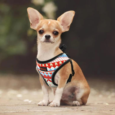 A Chihuahua sitting wearing colored Reflective Dog Harness For Dogs and Cats