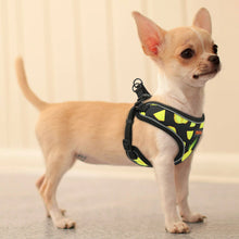 Load image into Gallery viewer, A Chihuahua wearing colored Reflective Dog Harness For Dogs and Cats Pineapple printings on it

