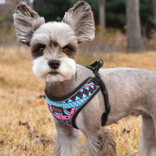 Load image into Gallery viewer, A Dog wearing colored Reflective Dog Harness For Dogs and Cats
