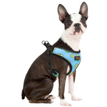 Load image into Gallery viewer, A chihuahua wearing colored Reflective Dog Harness For Dogs and Cats Lime printing on it

