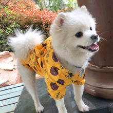 Load image into Gallery viewer, A dog wearing Waterproof Dog Raincoat Yellow color Bear printing
