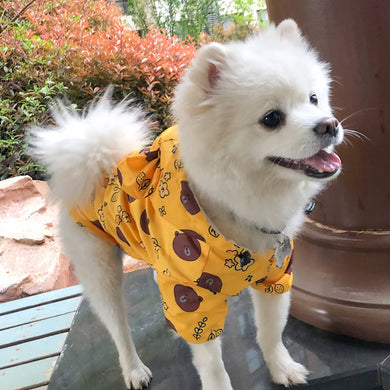 A dog wearing Waterproof Dog Raincoat Yellow color Bear printing