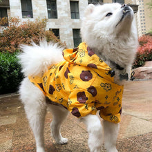 Load image into Gallery viewer, A standing dog wearing Waterproof Dog Raincoat Yellow color Bear printing
