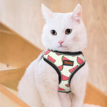 Load image into Gallery viewer, A white cat wearing colored Reflective Dog Harness For Dogs and Cats Watermelon printing on it
