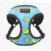 Load image into Gallery viewer, Colored Reflective Dog Harness For Dogs and Cats Lemon printing on it
