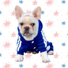 Load image into Gallery viewer, French Bulldog wearing Blue Hoodies for my babies
