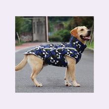 Load image into Gallery viewer, Golden Retriever walking and wearing Blue White Waterproof Coat Reflective Plaid Design
