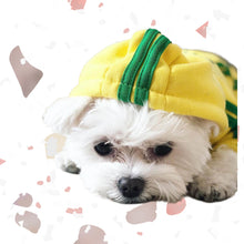 Load image into Gallery viewer, Maltese wearing yellow Hoodies for my babies
