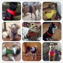 Load image into Gallery viewer, Many colors of training harness for dogs and cats picture of dogs and cats wearing the harness
