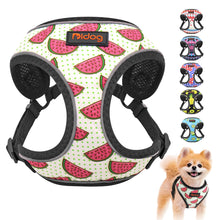 Load image into Gallery viewer, Reflective Dog Harness For Dogs and Cats Variety of Reflective Dog Harness A chihuahua wearing the harness 
