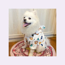 Load image into Gallery viewer, Sitting dog wearing Waterproof Dog Raincoat White color Bear printing
