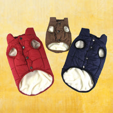 Load image into Gallery viewer, Three of Winter coats for dogs Bottom View Red Blue Coffee Colors
