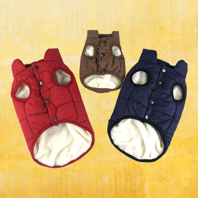 Three of Winter coats for dogs Bottom View Red Blue Coffee Colors