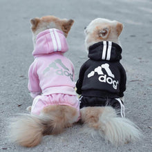 Load image into Gallery viewer, Two Chihuahua wearing Hoodies for my babies Black and Pink colors
